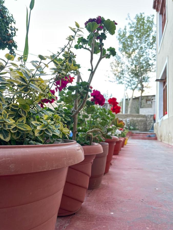 Gaywoo Guest House Leh Ngoại thất bức ảnh