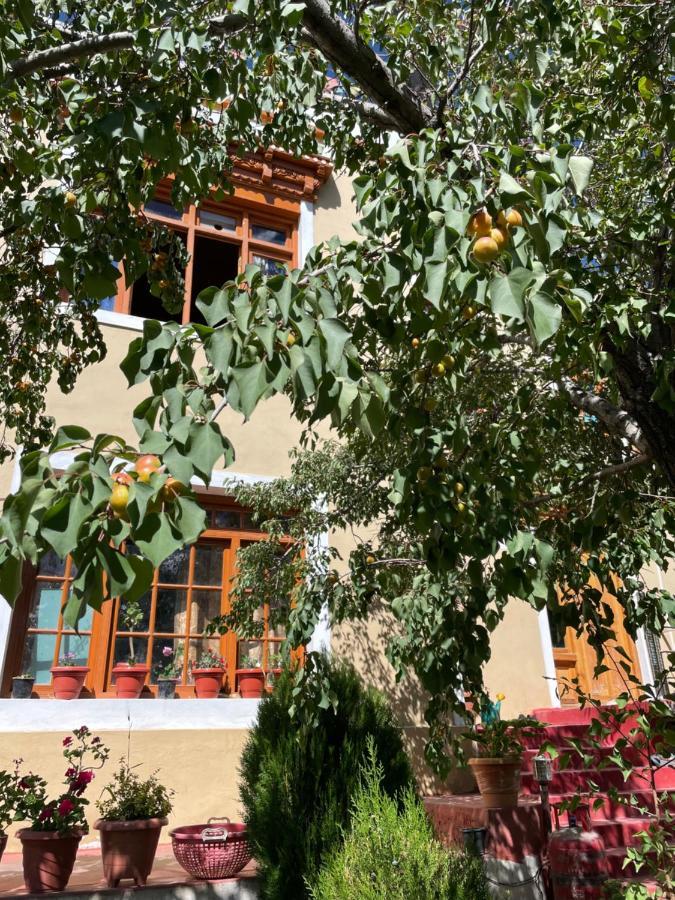 Gaywoo Guest House Leh Ngoại thất bức ảnh