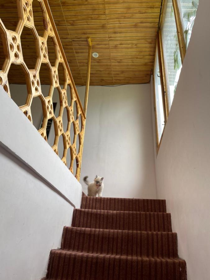 Gaywoo Guest House Leh Ngoại thất bức ảnh